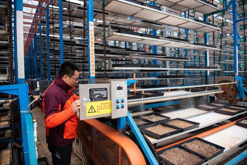 保姆式服務+智能化工廠+連片化土地——工業工程設計服務賦能湖南水稻大省春耕新圖景